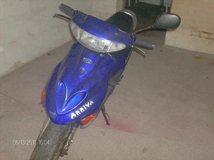 Adly Arriva(hverdags svinet) billede 2