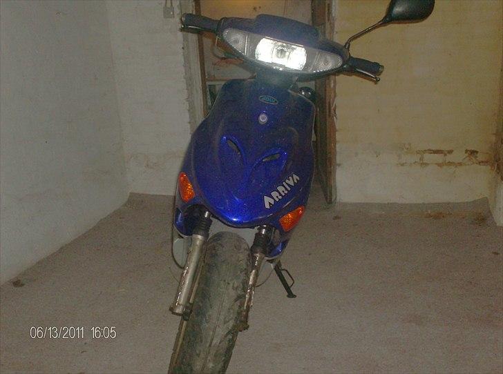 Adly Arriva(hverdags svinet) billede 6