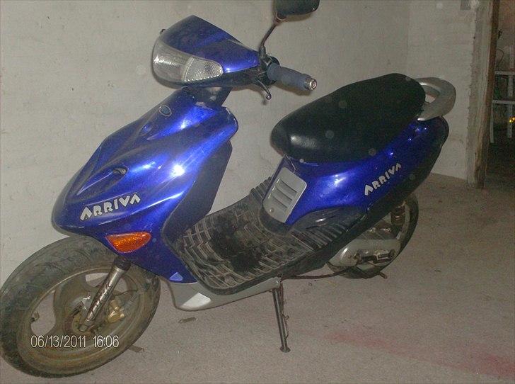 Adly Arriva(hverdags svinet) billede 10