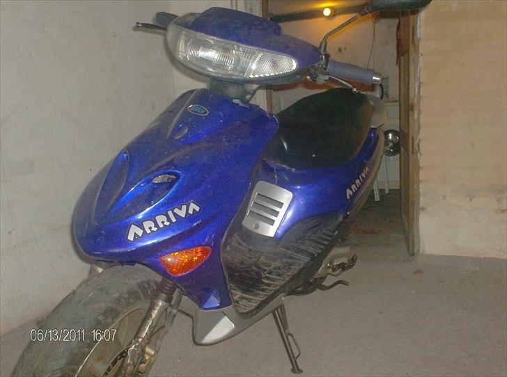 Adly Arriva(hverdags svinet) billede 14