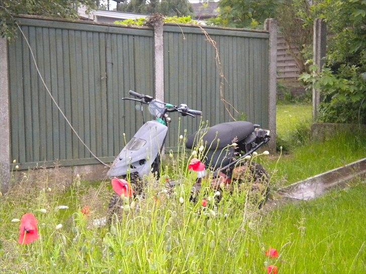 PGO hot stalker 50 billede 4