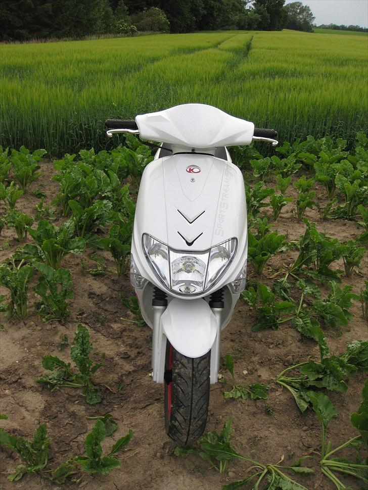 Kymco Vitality billede 5