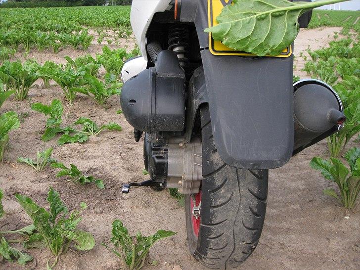 Kymco Vitality billede 12