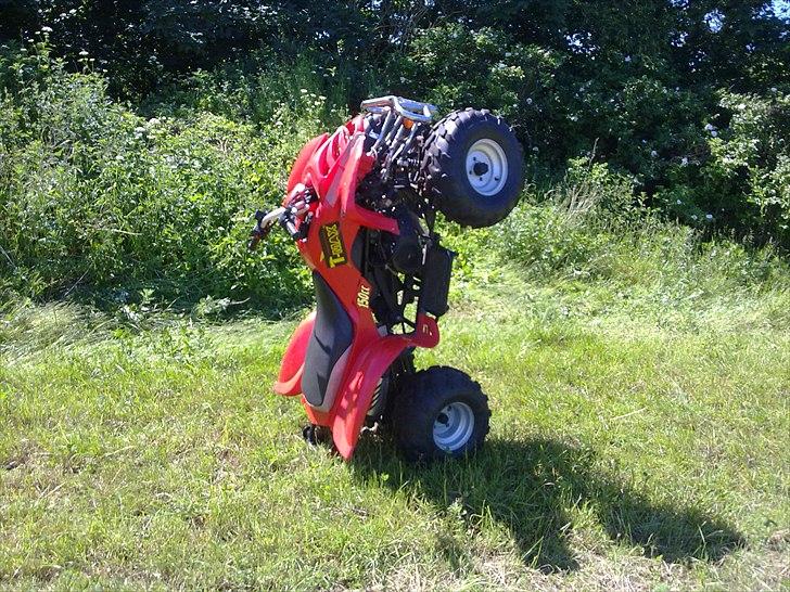 Sym suprax billede 1