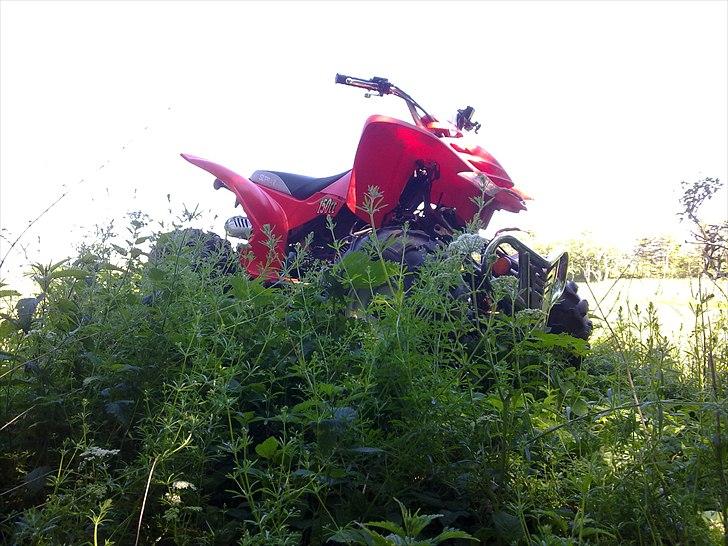 Sym suprax billede 9