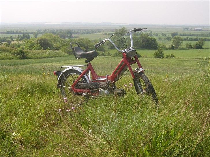 Puch Maxi *SOLGT* billede 1