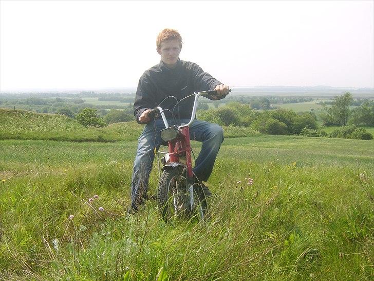 Puch Maxi *SOLGT* billede 2