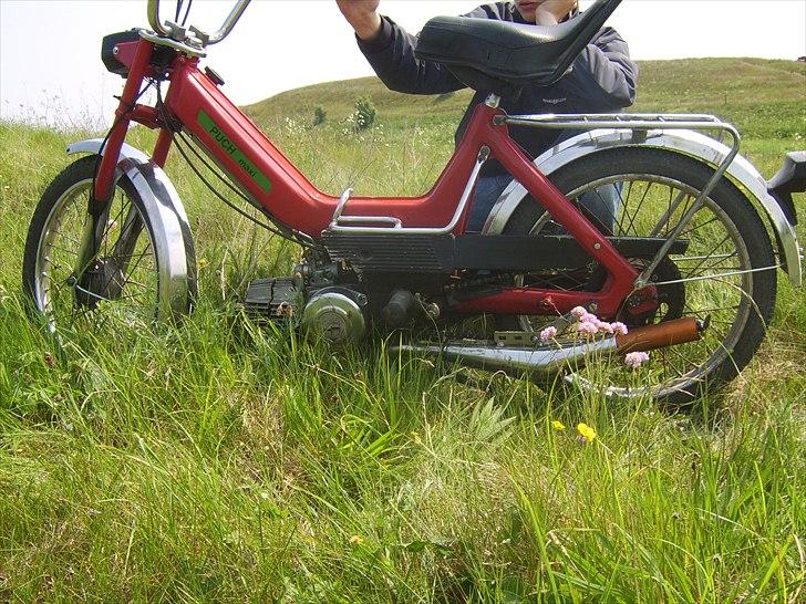 Puch Maxi *SOLGT* billede 3
