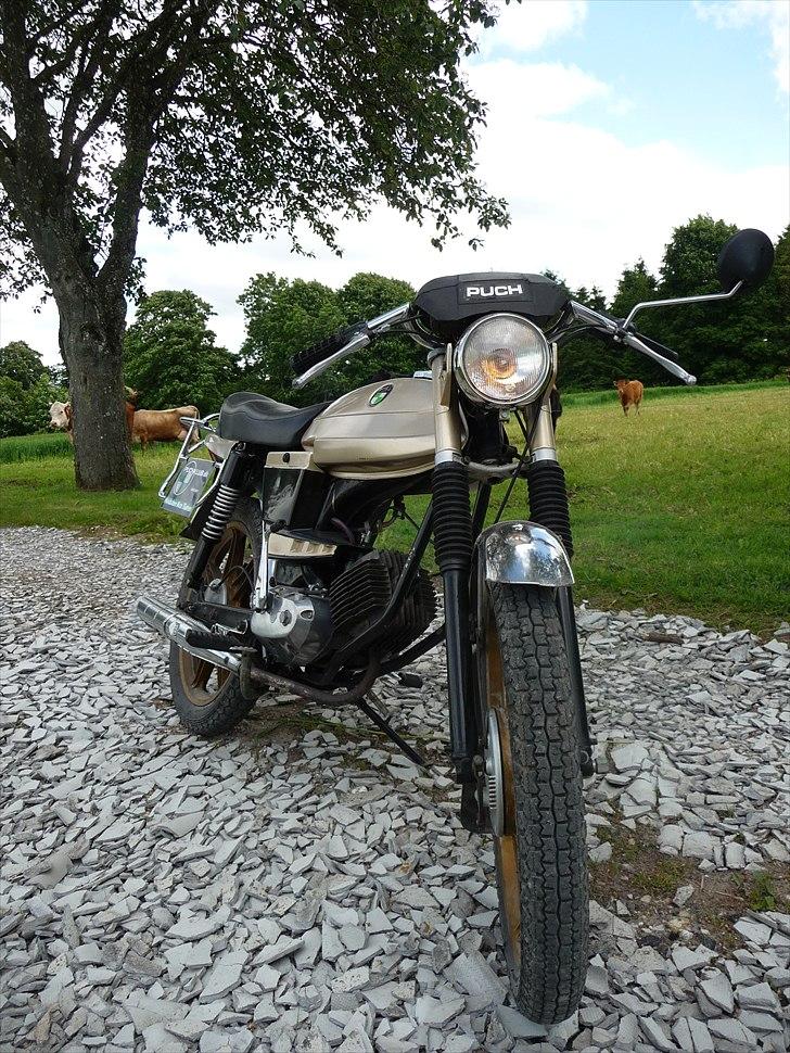 Puch Monza N-  SSL Flagskib billede 6