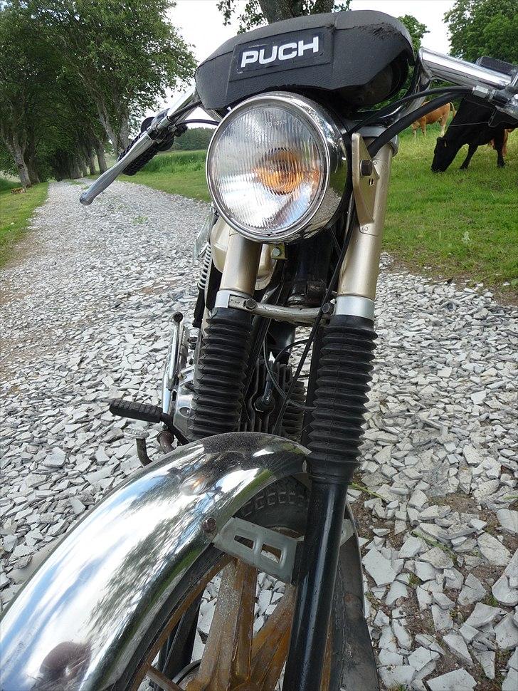 Puch Monza N-  SSL Flagskib billede 7