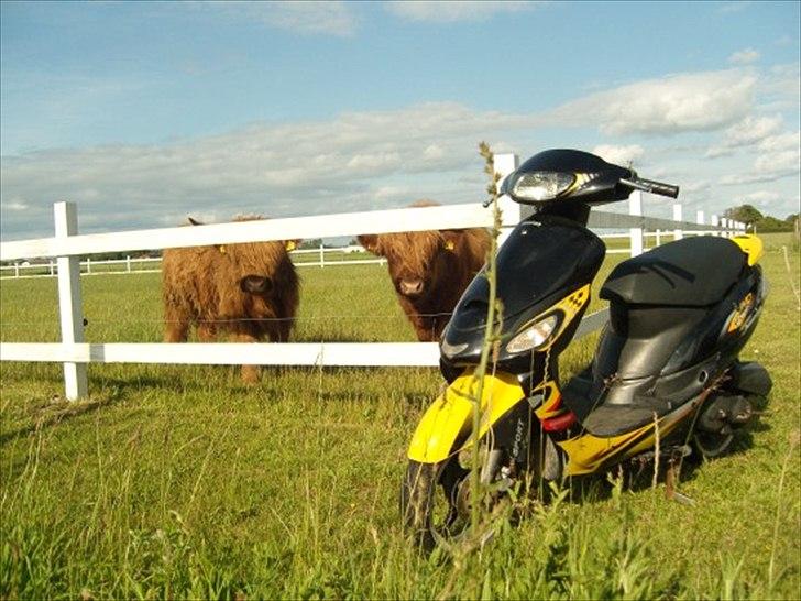 Giantco Sprint 4 takter billede 1