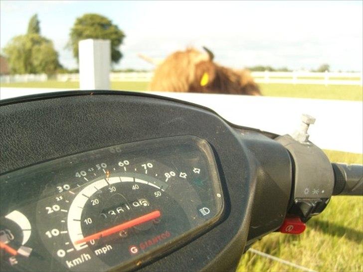 Giantco Sprint 4 takter billede 3