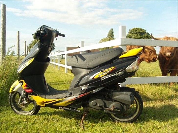 Giantco Sprint 4 takter billede 5