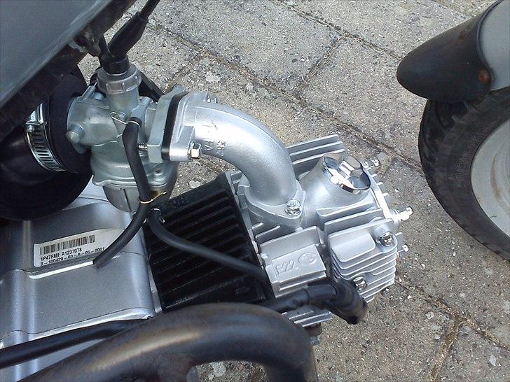 Sachs madass byttet billede 2