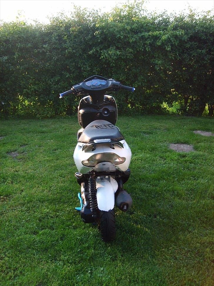 Aprilia sonic billede 2