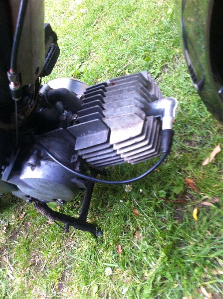 Puch Maxi P billede 11