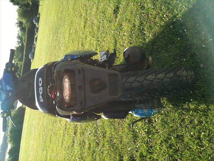 PGO pmx sport  billede 4