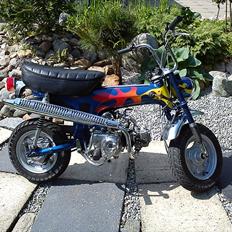 Honda Dax ST 50 SOLGT