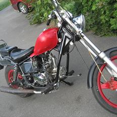 Regal Raptor *SOLGT*