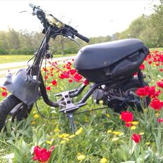 Aprilia sonic R-Setup Racing lc. byttet til jog og hot.