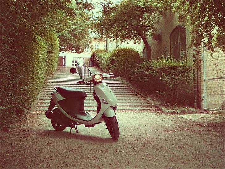 PGO New Ligero - Munke Mose, Odense C billede 1