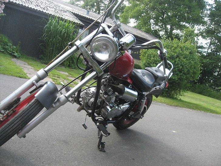 Regal Raptor *SOLGT* billede 1