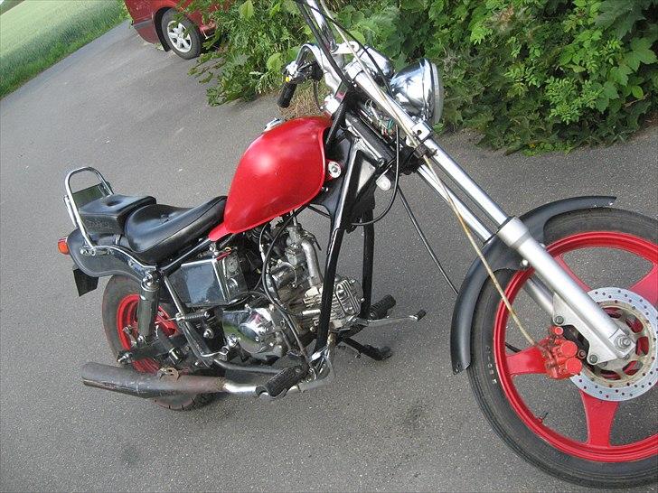 Regal Raptor *SOLGT* billede 2