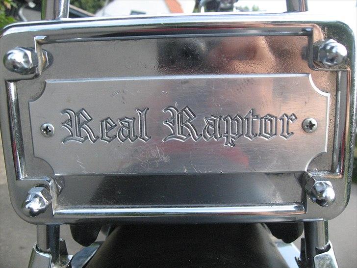 Regal Raptor *SOLGT* billede 4