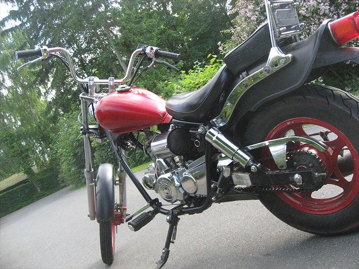 Regal Raptor *SOLGT* billede 5