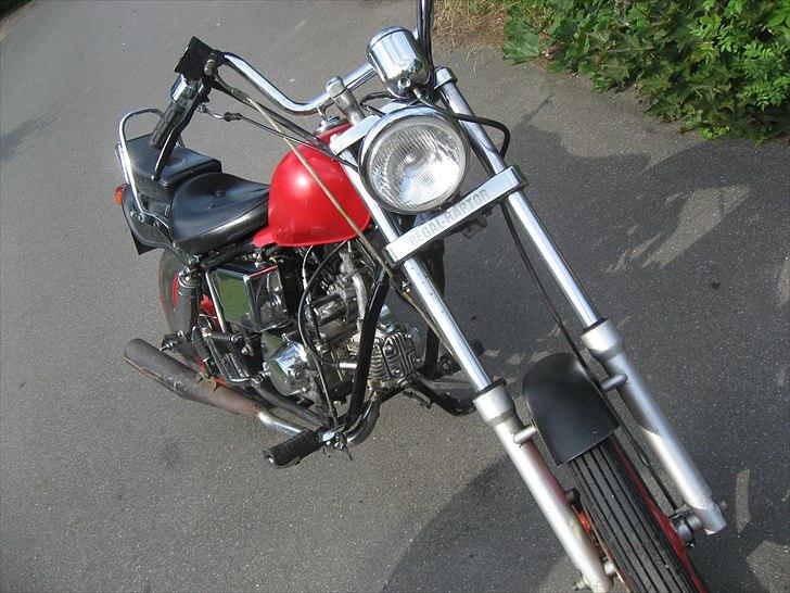 Regal Raptor *SOLGT* billede 7