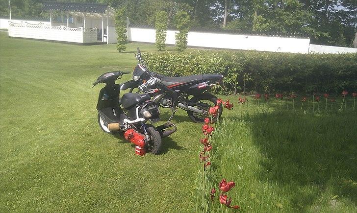 Derbi senda sm extreme billede 6