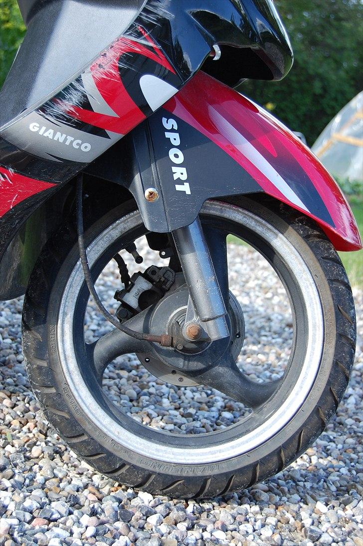 Giantco Sprint Sport billede 4