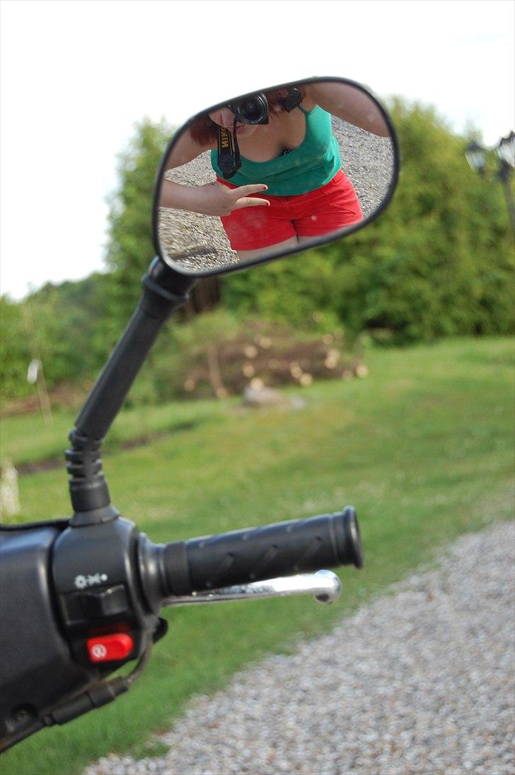 Giantco Sprint Sport billede 1