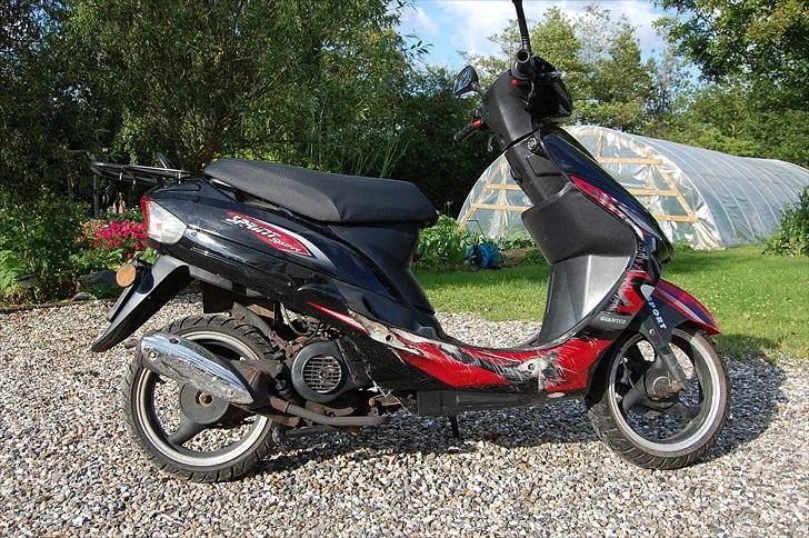 Giantco Sprint Sport billede 2