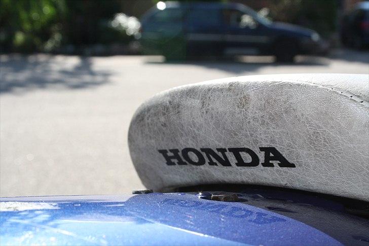 Honda SFX  billede 8