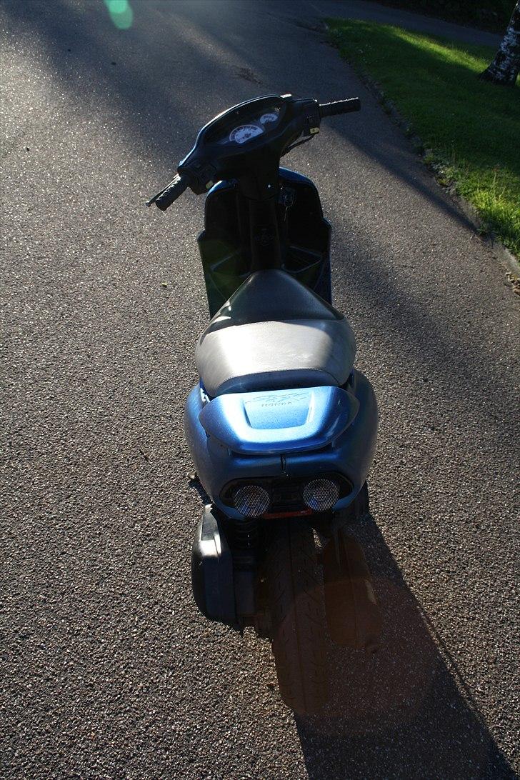Honda SFX billede 7