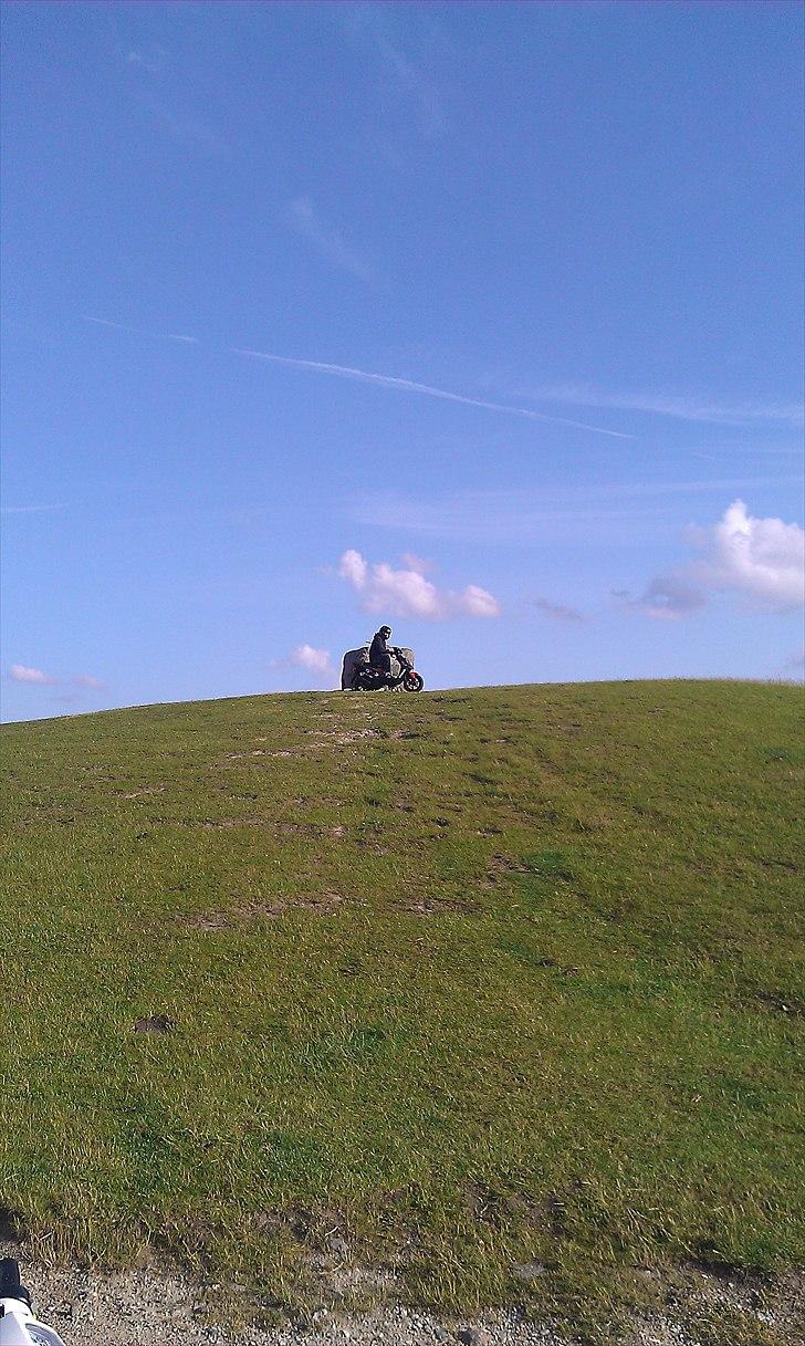 PGO Hot 50 SP billede 9