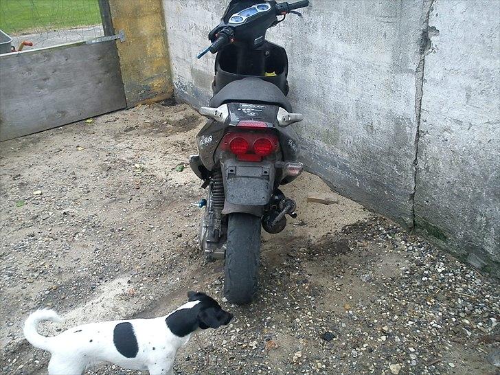 PGO dr.big billede 4