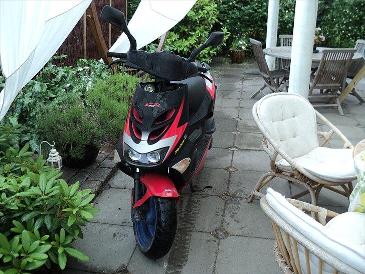 Aprilia SR50 ditech billede 1