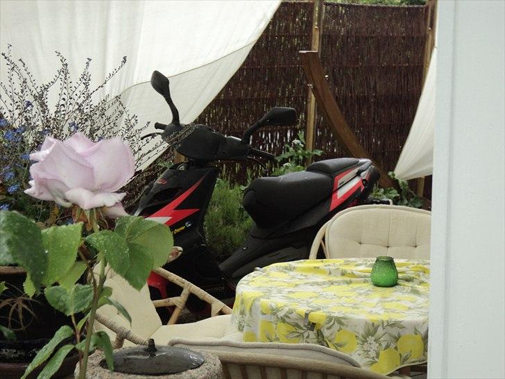 Aprilia SR50 ditech billede 4