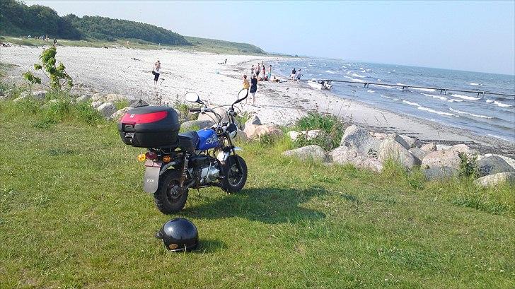 Skyteam Monkey Z 50 J - Monkey på stranden. billede 6