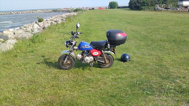 Skyteam Monkey Z 50 J - Sidste billeder af monkey, 2011.. billede 3