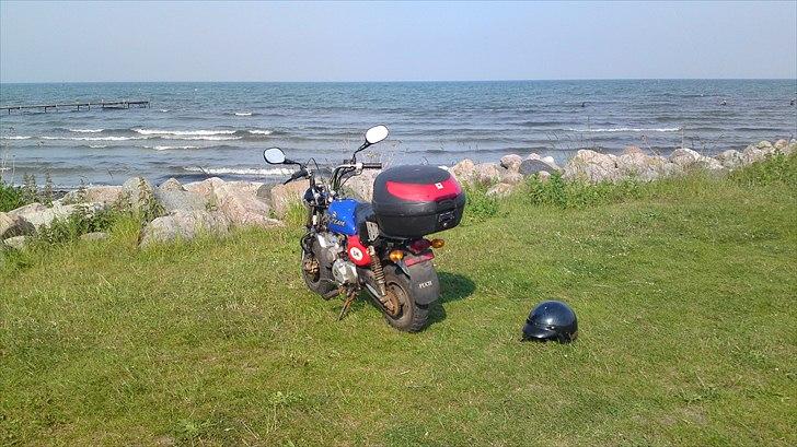 Skyteam Monkey Z 50 J - Køre Lovligt. & er stabil. 
alle plomber er i systemet. billede 5