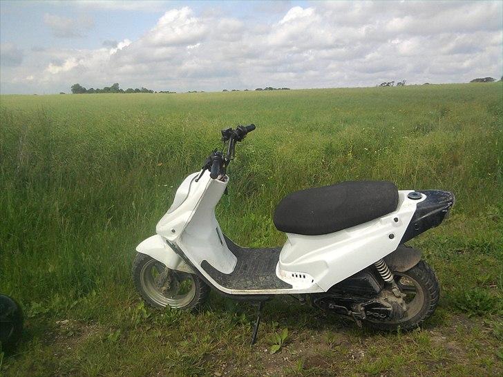 PGO hot 50 billede 2