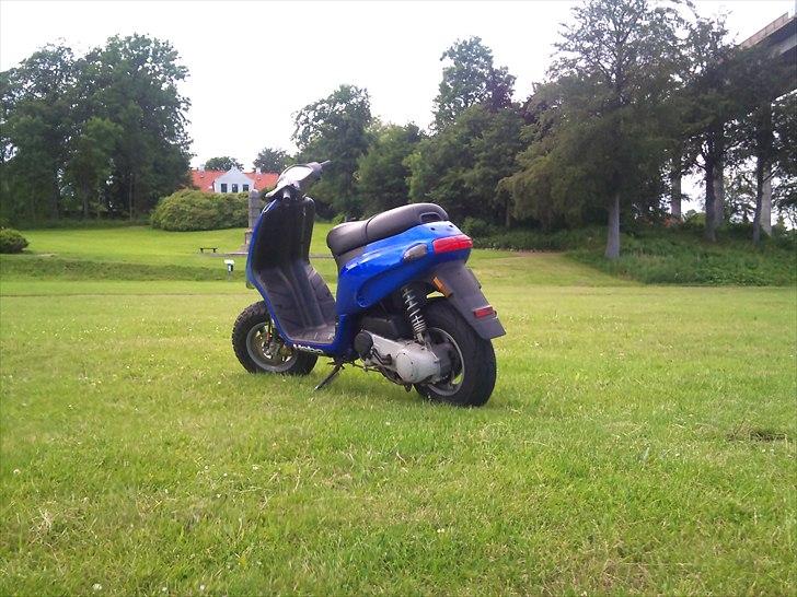 Piaggio Typhoon  SOLGT billede 7