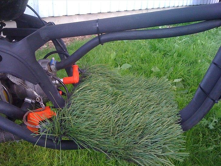 Yamaha jog  billede 17