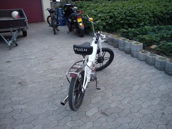 Puch maxi tilsalg byd billede 5