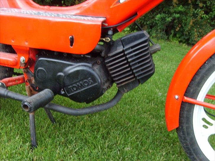 Tomos Quadro - ny renoveret motor:) billede 17