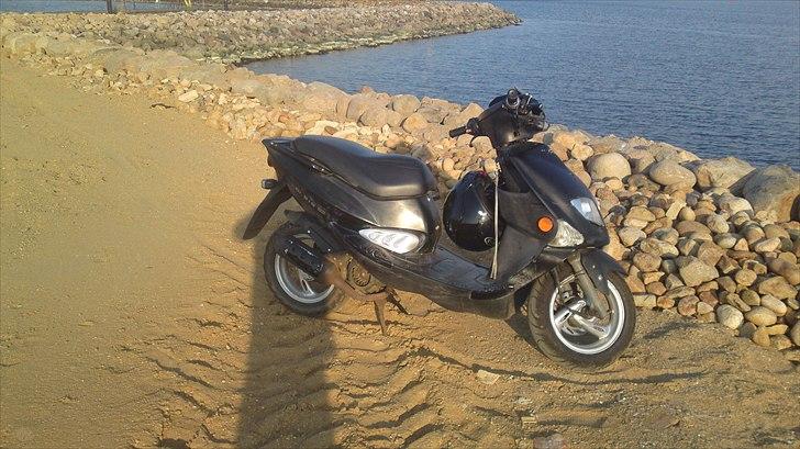 PGO Dr.Big byttet til puch maxi billede 3