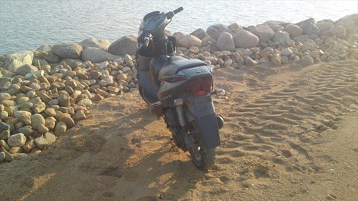 PGO Dr.Big byttet til puch maxi billede 4